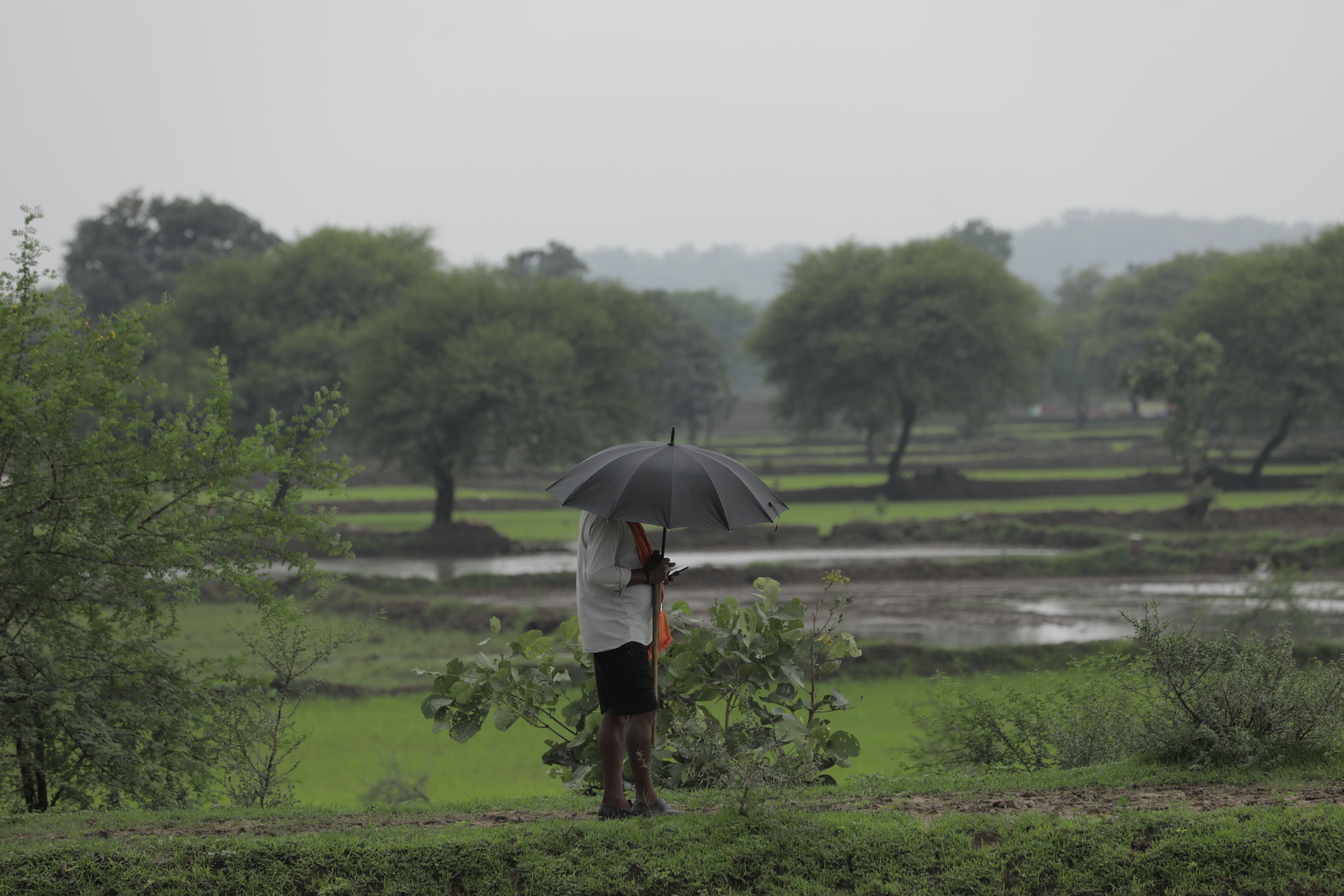 Rain_Fall